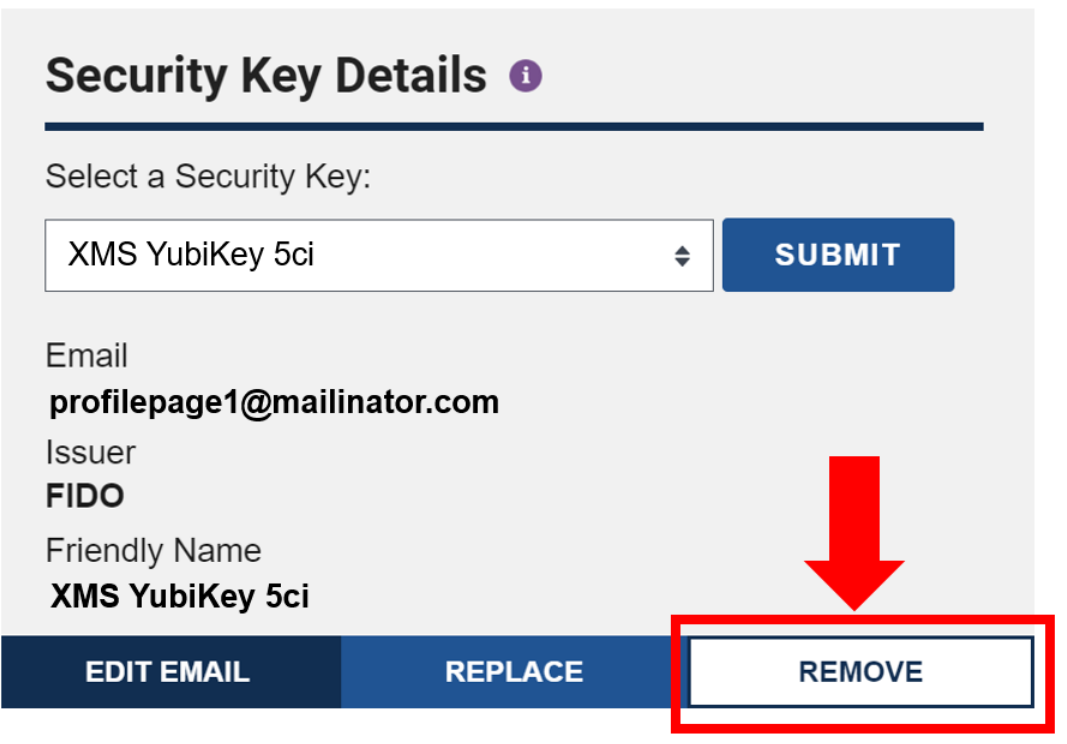 Security Key Details with 'Remove' button highlighted